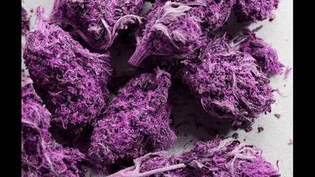 WEED 420 GANJA смотреть онлайн