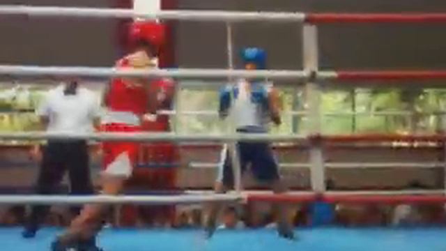 Pelea Box Plan De San Luis Alfredo 