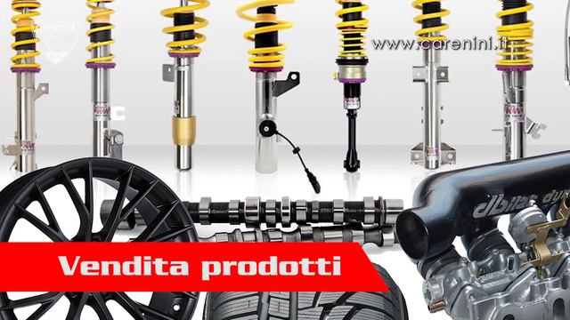 Carenini Gino S.r.l.s.