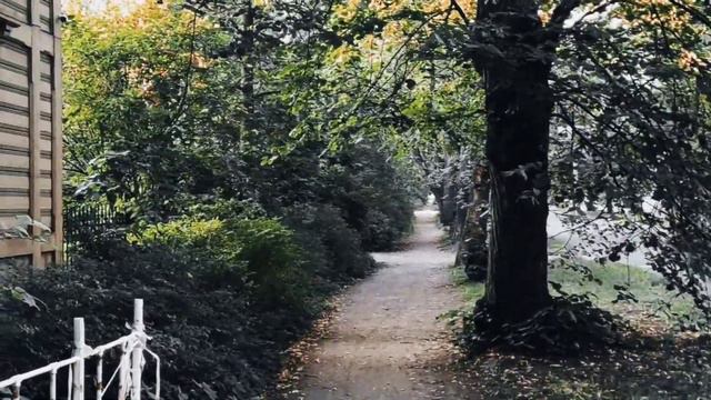 VID 20230810 225102 О несовершеннолетней грешнице (Витезслав Незвал)...Павел Васильев Лахтинский