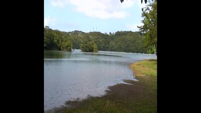 Goto Maki - Japan Gravure Idol