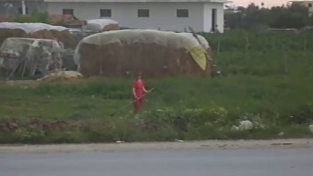 shqiptarja me kosë смотреть онлайн