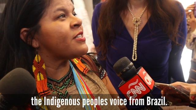 Stand With Indigenous Peoples Of Brazil, The Amazon And The Climate