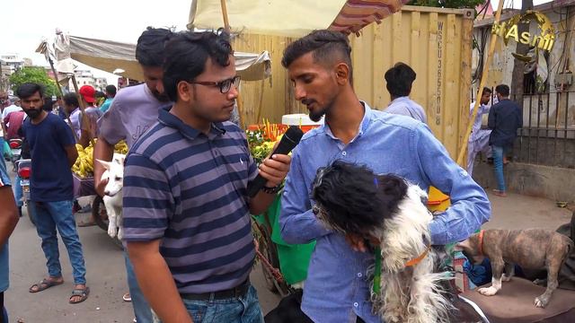 Saddar Sunday Dogs Market 23-7-2023 Karachi German Shepherd Pit bull Dog | سوق الكلاب في كراتشي смотреть онлайн