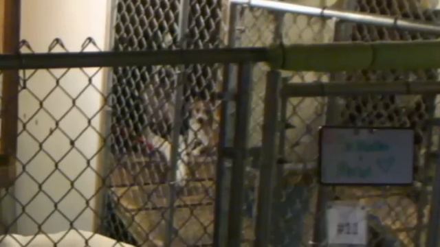 Wanda Oliver noon next to Walter смотреть онлайн