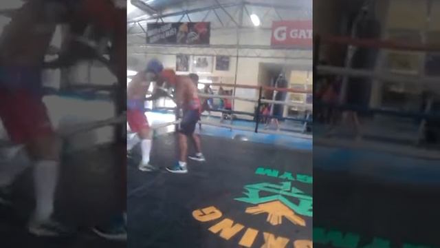 Genisis vs glen puras смотреть онлайн