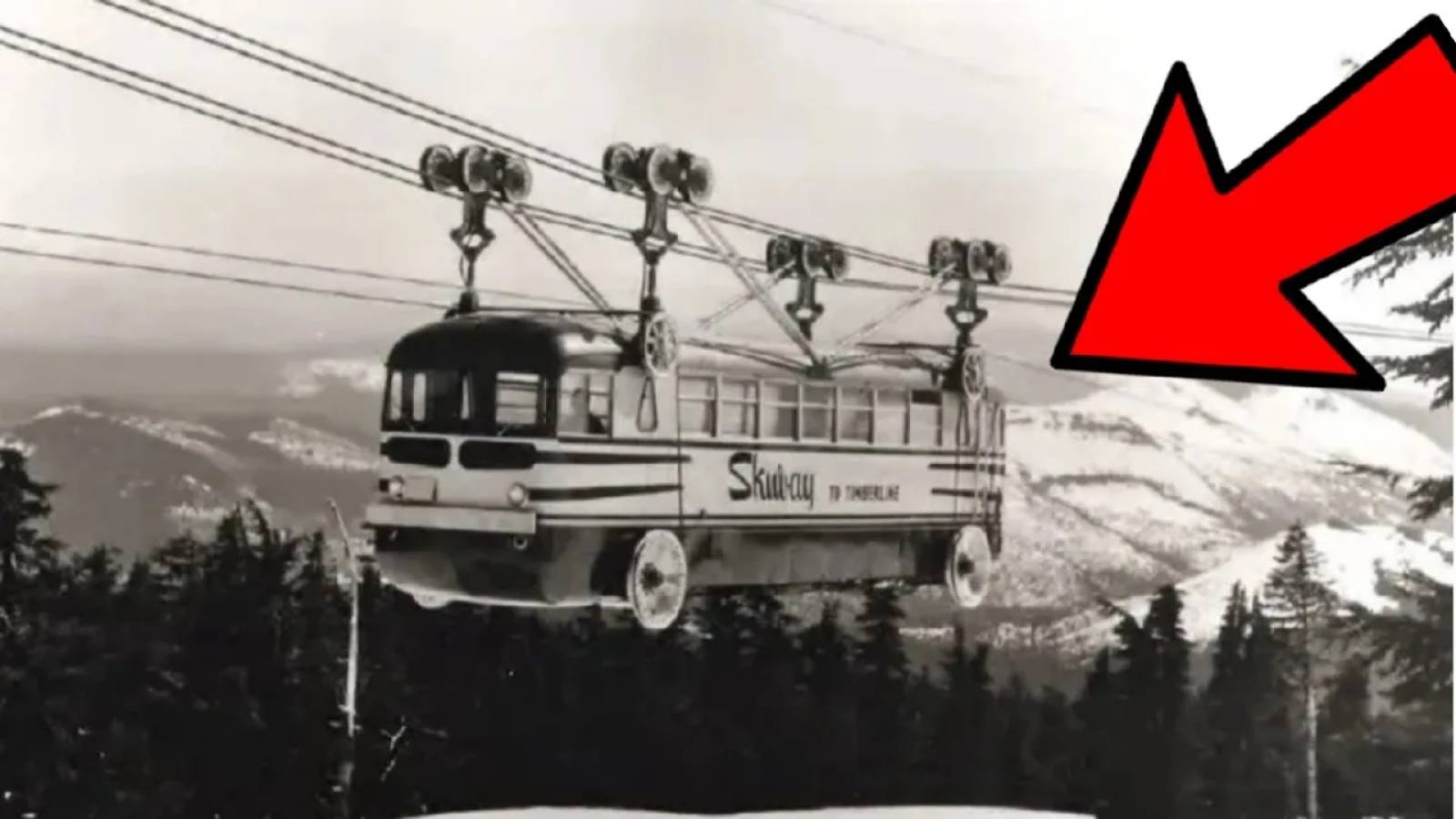 Неудачные и необычные случаи на дороге с автобусами и троллейбусами смотреть онлайн