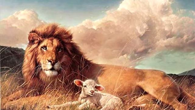 David Nevue - The lion and the lamb смотреть онлайн
