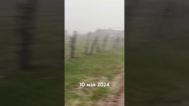 10 мая 2024 г. смотреть онлайн