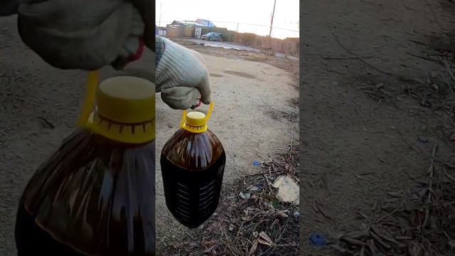 19 ноября 2023 г. смотреть онлайн