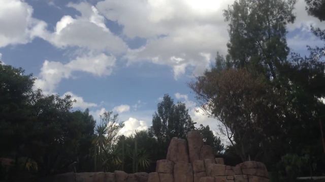 Exhibición de Aves Rapaces en el Zoológico San Juan de Aragon D.F (Completo HD 1080p) смотреть онлайн