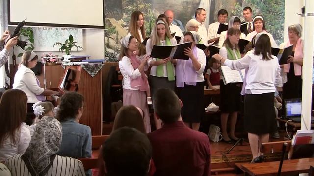 2016 09 11 011 Жатва Щорс 2016