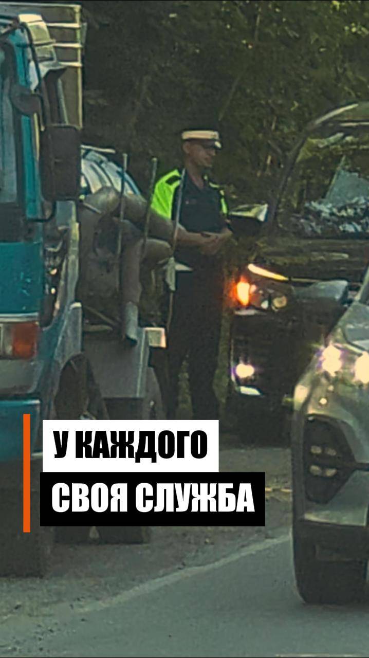 У каждого своя служба смотреть онлайн