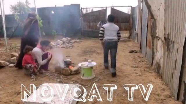 26 января 2017 г.