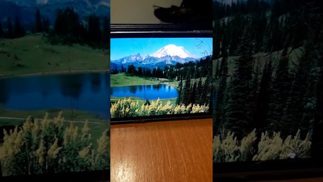 SEVGİ NƏĞMƏSİ смотреть онлайн