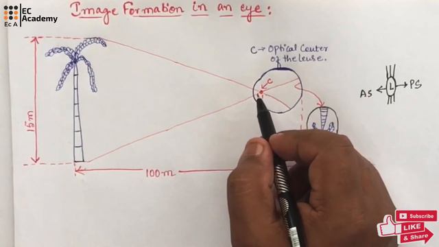 DIP#6 Image Formation In An Human Eye || EC Academy