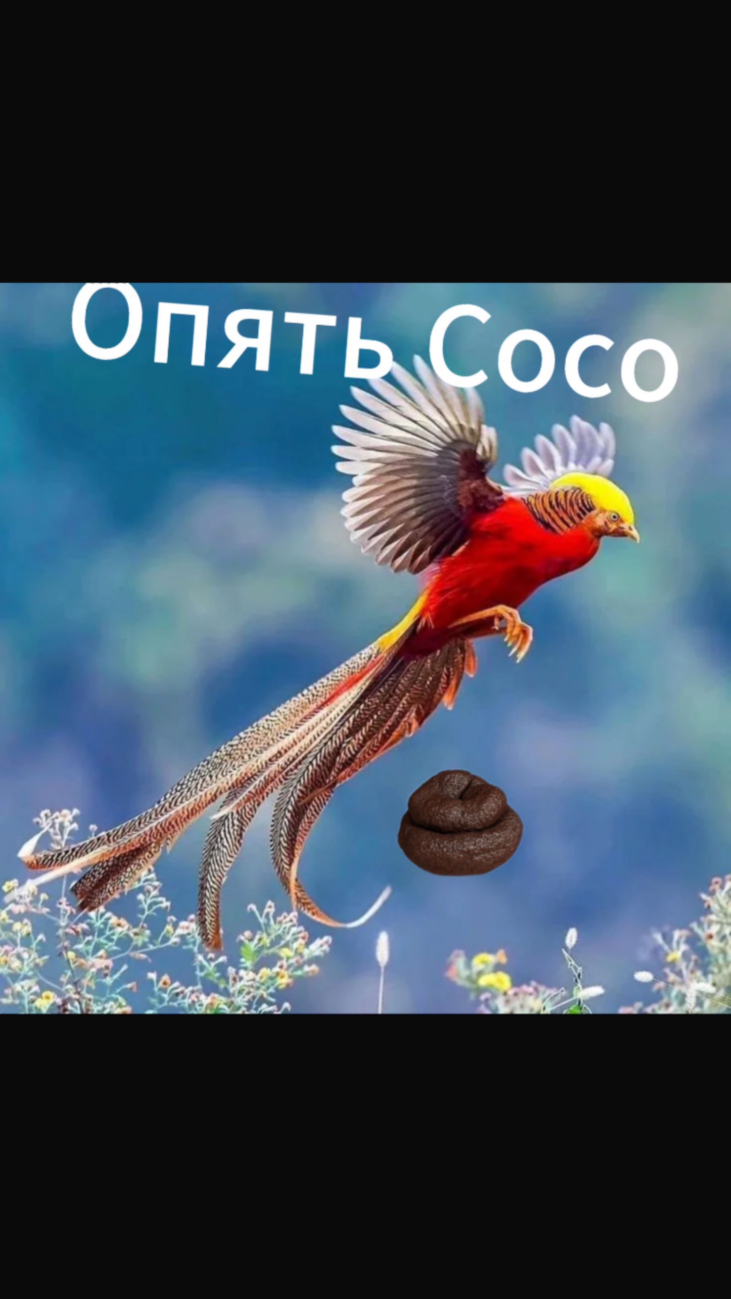 Топ мой друг когда голодный 🤤