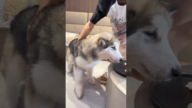 прикол смотреть онлайн