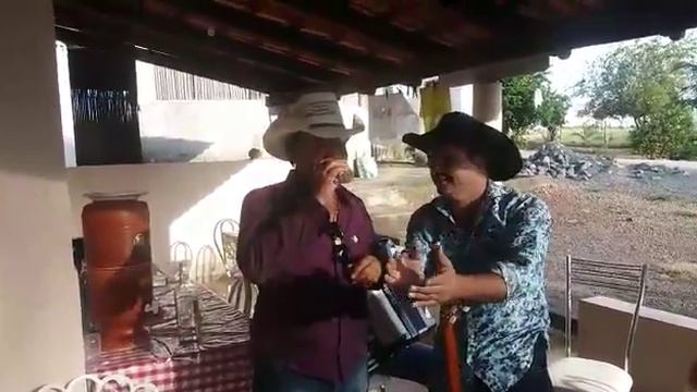 gino rozano e rozinei na fazenda(1) смотреть онлайн