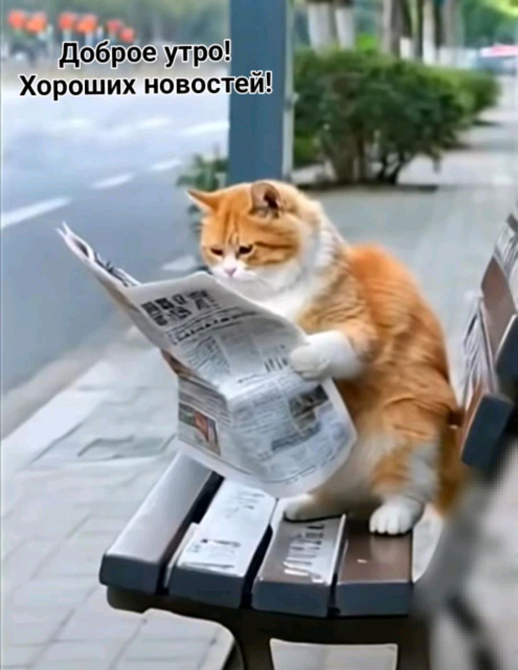 просто я смотреть онлайн