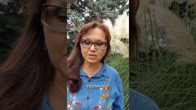 Стоп не надо! Говорит тело, а вы не понимаете его