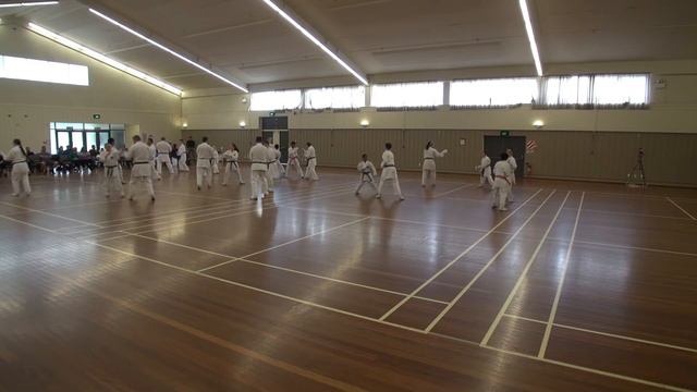 Wrka Soke Kubota 2011 10 29 Sess3 01a Kumite