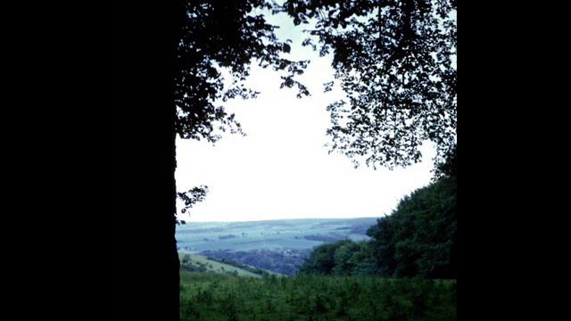 Fikre Bemehonsh Mahmoud Ahmed