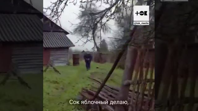 Hik смотреть онлайн