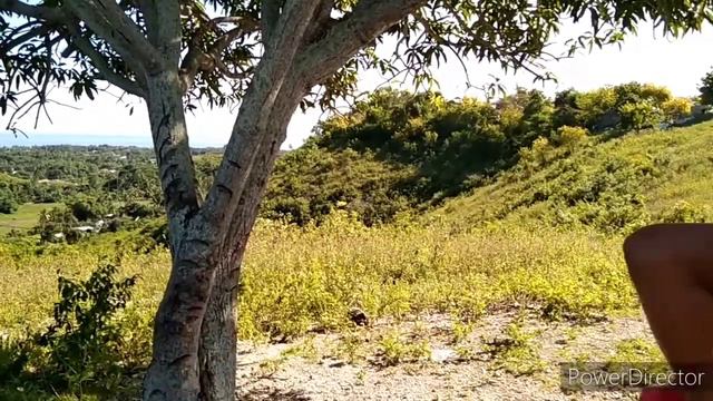 KoRogTong Ta Bagets: Nanga Matay Kay Patakag Kaon Agis Ka Gutom