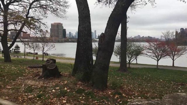 Randall's Island Park in Autumn | New York смотреть онлайн