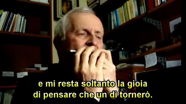OGNI VOLTA (Paul Anka) - ARMONICA - LYRICS