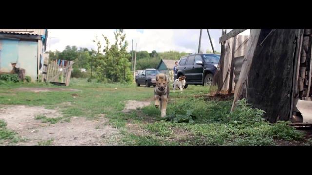 Кара бала смотреть онлайн