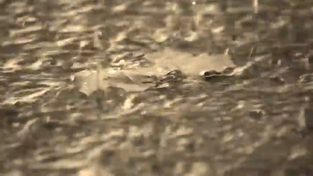 Kiss the rain _Billie Myers смотреть онлайн