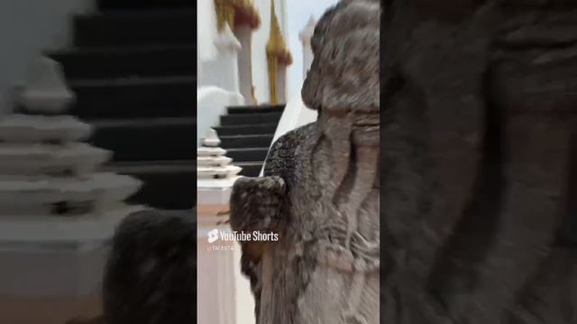 videoplayback смотреть онлайн