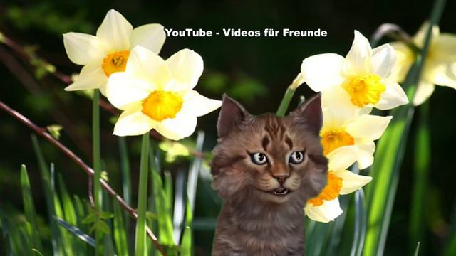 🐰 Oster Gruß 🐰 Frohe Ostern 🐰 Bunte Ostereier Osterfest Osterhase Ein schönes Osternest 🐰 смотреть онлайн