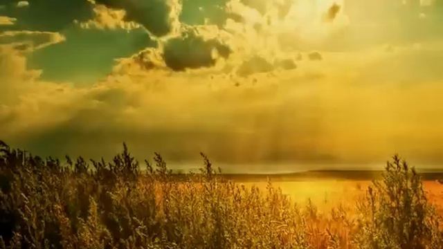 Voce Affogata -  Mio Caro Assassino ( Ennio Morricone )