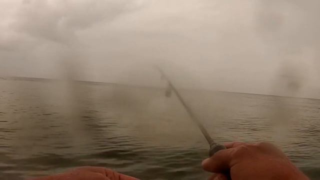 Malaking Barracuda Sa Harap Ko / Punta Agata смотреть онлайн