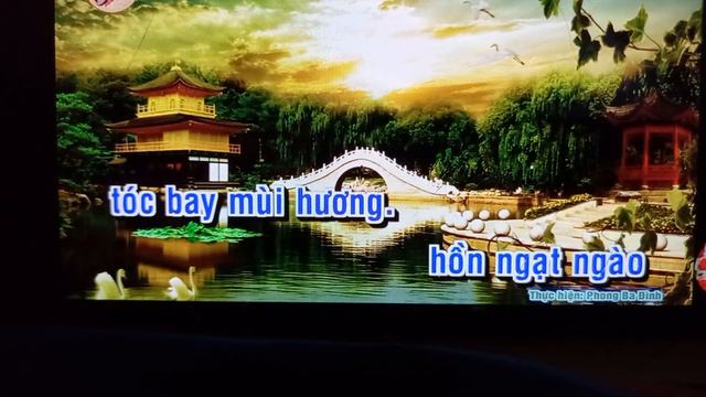 🥑 Chuyện Tình An Lộc Sơn 🎄🎄🧤🎄 kép song ca смотреть онлайн