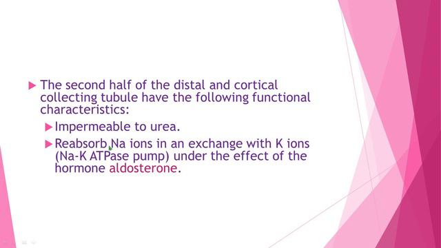 Renal lecture 5 د منار смотреть онлайн