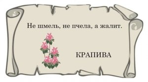 Русский народный фольклор. Малые жанры