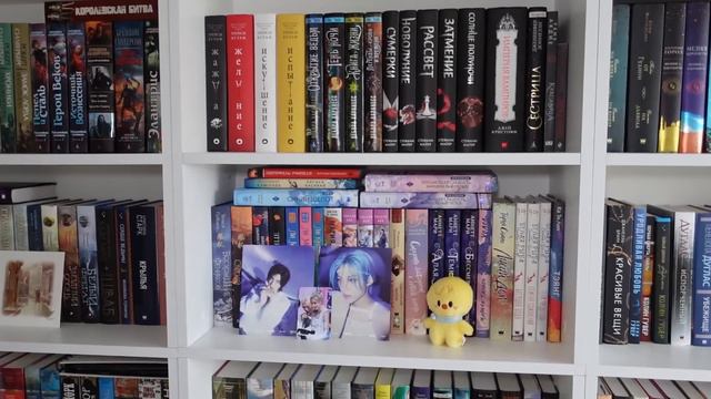 МОИ КНИЖНЫЕ ПОЛКИ 📚 | ПОЛНЫЙ ТУР🔥 смотреть онлайн