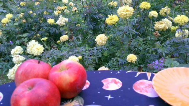 Как выбрать вариант в раскладе ТАРО ❓❗ смотреть онлайн