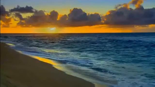 محمد عبدالله طاهر (bianco.taher) смотреть онлайн