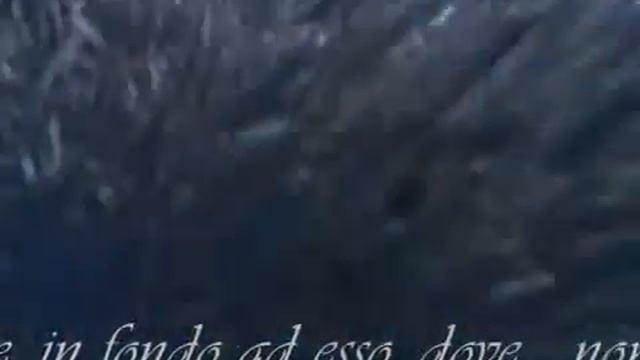 Massimo Ranieri La Cura by Massimo Dorewmv смотреть онлайн