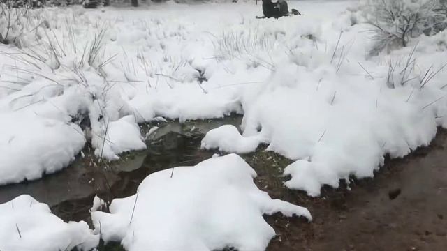 Прогулка по зимнему Лесу, красоты Хунсрюка. Германия и её Красота.