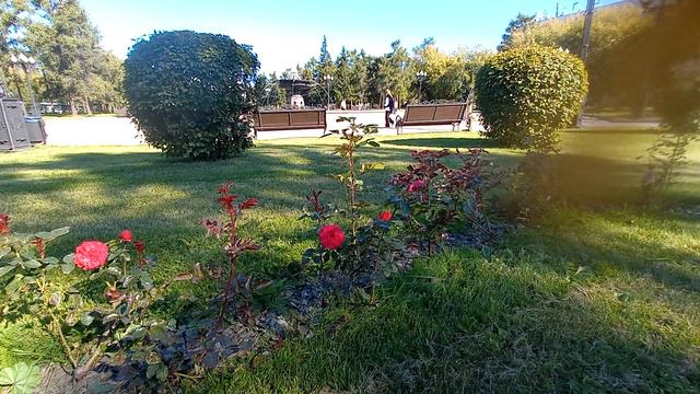 ВАЖНО СДЕЛАТЬ В ВОСКРЕСЕНЬЕ! смотреть онлайн