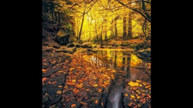 Поэт и осень