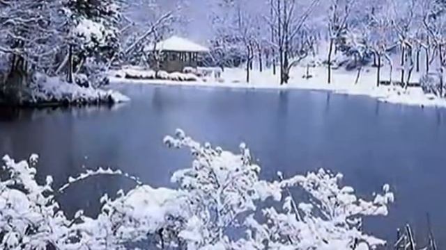 Priscilla Chan 陳慧嫻 - 冰點