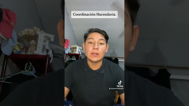 Cordinacion hacendaria . смотреть онлайн