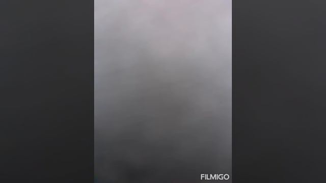 Alavuren Joni- Ajomies